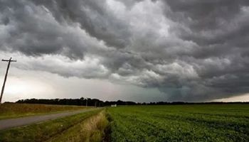 El pronóstico para el agro: cuándo llegan las lluvias y qué zonas se volverán más inestables 