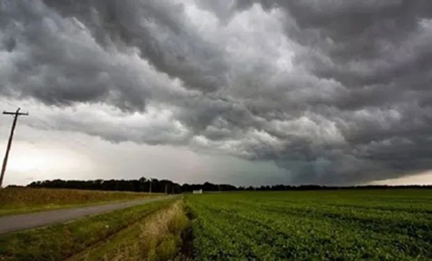 El pronóstico para el agro: cuándo llegan las lluvias y qué zonas se volverán más inestables 