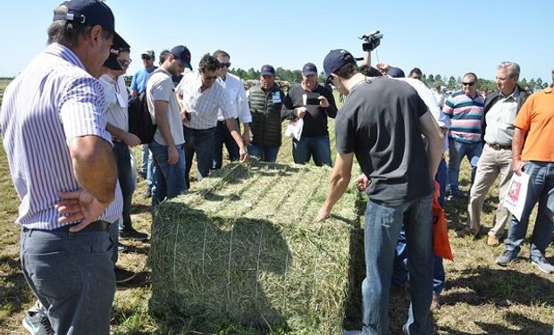 Convocada por CLAAS Argentina, BASF y KWS Argentina, junto a un grupo de otras importantes empresas, la jornada contará con tres paradas a campo.