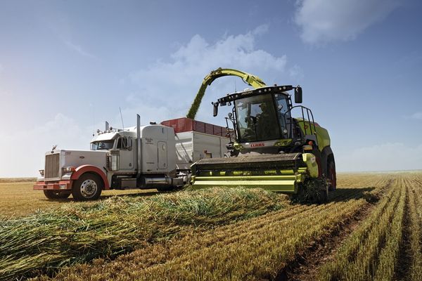 claas picando