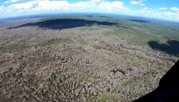 Maior desmatador da história do Pantanal tem R$ 2,8 bilhões em multas