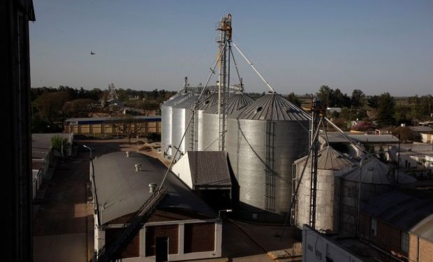 Durante marzo la exportación de harina de trigo cayó cerca de un 50% contra el año pasado, reflejando el impacto de las retenciones.