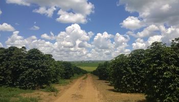 Frente fria no Sudeste e tempo seco no Centro-Oeste: confira as previsões do Inmet