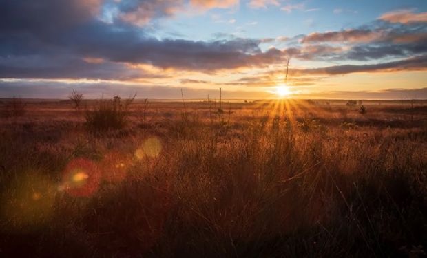 ¿Se renueva el optimismo? Qué dice el pronóstico de lluvias y temperaturas para los próximos días