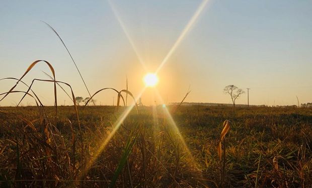 Pronóstico del clima: hay varias provincias con alertas por altas temperaturas, tormentas y vientos