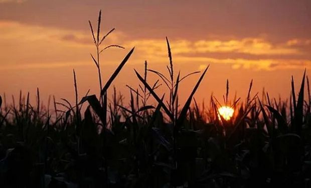 El clima durante el fin de semana largo: qué dice el pronóstico del tiempo sobre lluvias y temperaturas