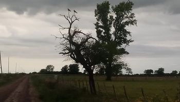 Qué dice el pronóstico para la región pampaena y cuándo regresan las lluvias 