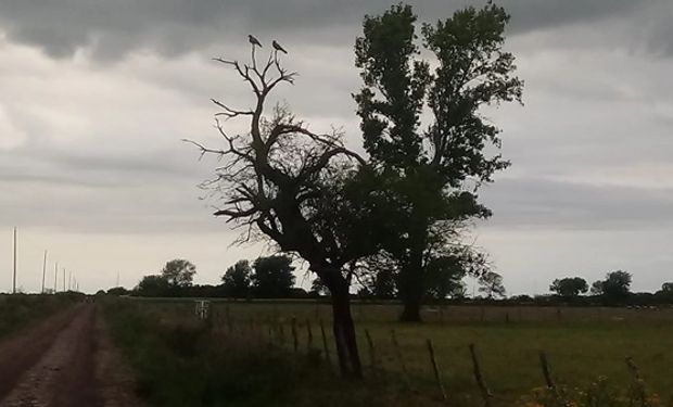 Qué dice el pronóstico para la región pampaena y cuándo regresan las lluvias 