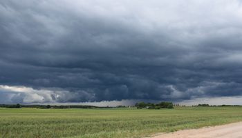 El sol demora en salir y complica a los campos anegados, mientras que el pronóstico anticipa lluvias para el fin de semana