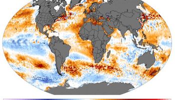 Asoma El Niño en el horizonte: qué puede pasar con el clima y cuándo podría mejorar la humedad de los suelos