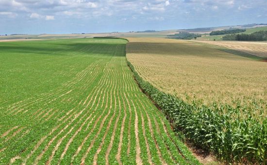 Previsão indica chuvas intensas no Norte, Nordeste e Sul, enquanto áreas centrais enfrentam tempo seco e baixa umidade
