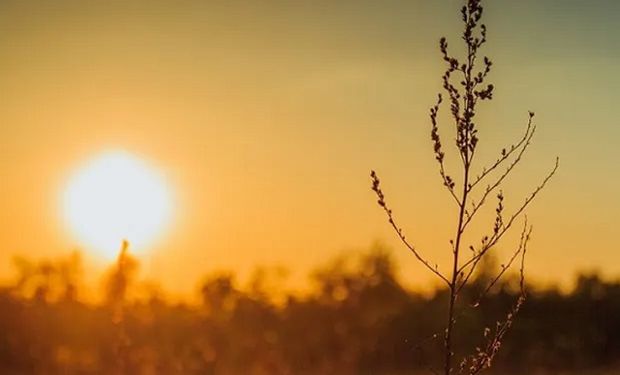 Ola de calor: el Servicio Meteorológico Nacional mantiene a once provincias en alerta por las altas temperaturas