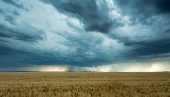 El Niño dá primeiros sinais de que pode atingir nível intenso