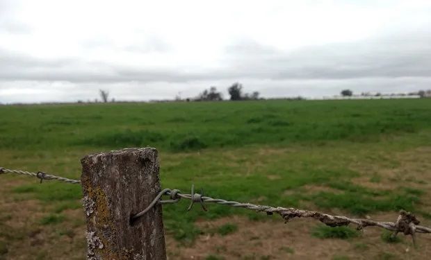 El pronóstico del tiempo anticipa una semana más de lluvias: qué zonza serían alcanzadas