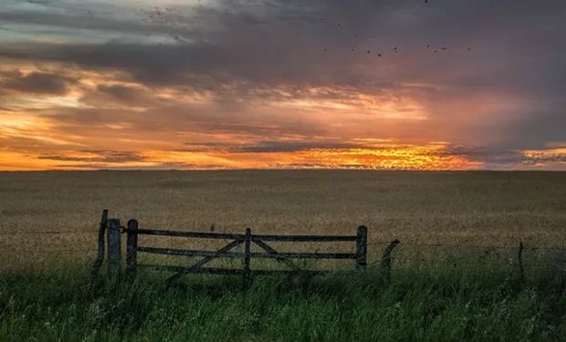 ¿Lluvias sectorizadas? Qué dice el pronóstico del tiempo para el agro y cuántos milímetros se esperan