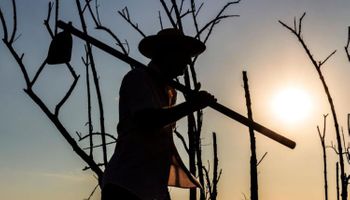 Calor e chuva irregular marcam fevereiro no Brasil