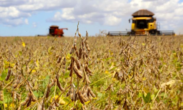 Clima irregular atrasa semeadura da soja e aumenta incerteza sobre a safra, aponta Cepea