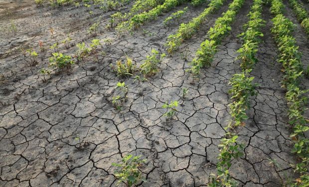 Alarma climática: el nivel de enfriamiento esperado por La Niña ha sido pocas veces visto en los últimos 25 años