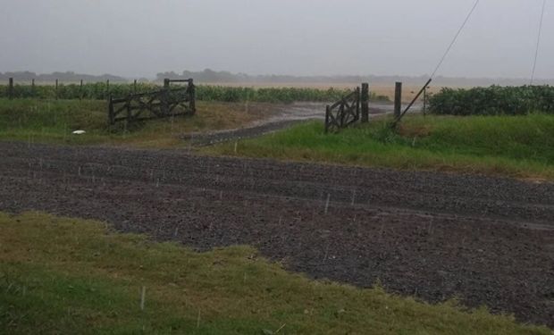 Ocho provincias con alerta por tormentas y vientos: que zonas podrían recibir hasta 70 milímetros