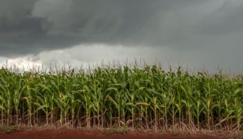 Brasil entra em março com alerta de chuva e calor, mas padrão começa a mudar