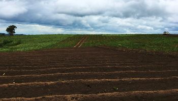 El Niño: probabilidade a partir de junho sobe para  75%, diz Inmet