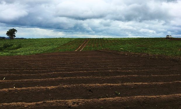 No Brasil, El Niño costuma bloquear frentes frias sobre a Região Sul do País. (foto - banco no Freepik)