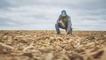 Mudanças climáticas afetam mais de 70% dos agricultores, diz estudo
