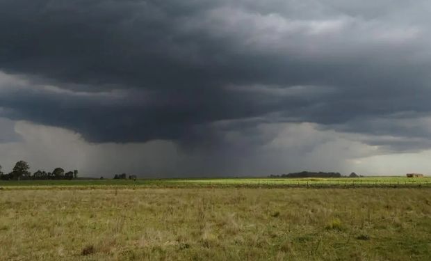 Lluvias para el fin de semana en un momento crítico para el trigo