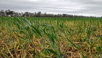 Clima estable para zona núcleo en lo que resta de la jornada