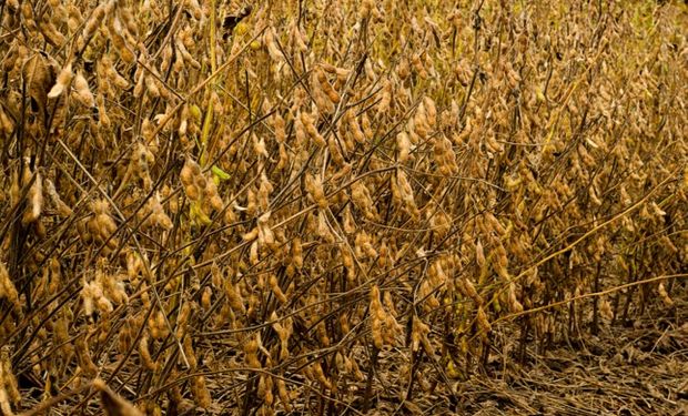 El exceso de lluvias tenderá a reducirse durante el otoño.