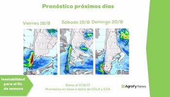 El trigo se vio perjudicado por el clima