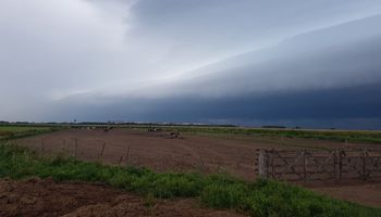 El SMN emitió un alerta por tormentas fuertes para el centro y este del país