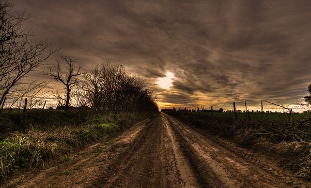 Camino rural de la provincia de Buenos Aires. Foto: Ricelli