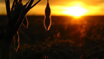 Con cielos despejados llegó el alivio esperado