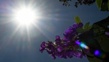 Geada retorna ao Sul, enquanto calor ultrapassa 35 °C no Sudeste e alcança 40 °C no Centro-Oeste
