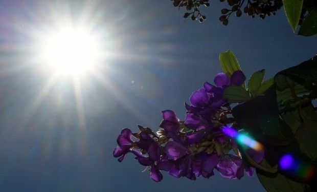 Geada retorna ao Sul, enquanto calor ultrapassa 35 °C no Sudeste e alcança 40 °C no Centro-Oeste