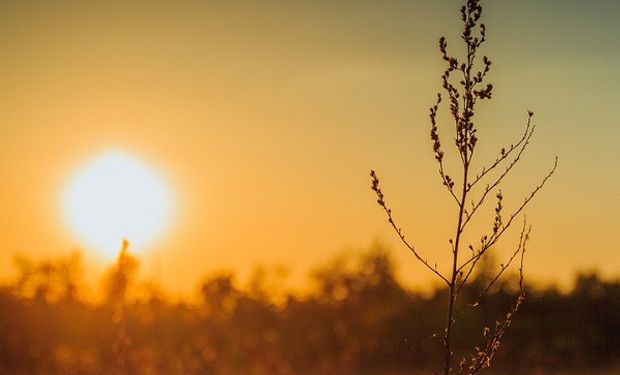 Alerta violeta en la región centro por ola de calor: recomendaciones