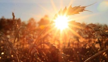 El clima manda: claves para anticiparse a lo que viene