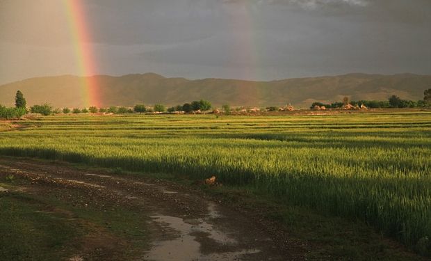 Frente Pampero trae lluvias a zona agrícola.