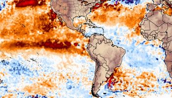 "El Niño es una buena noticia para los cultivos de verano en Argentina"