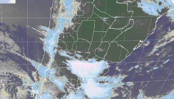 Temperaturas máximas elevadas en el centro