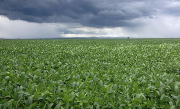 El clima norteamericano pesa sobre el mercado.