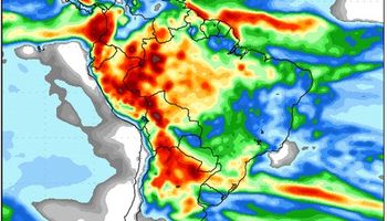 Nuevas precipitaciones y ¿un impacto bajista en los precios?