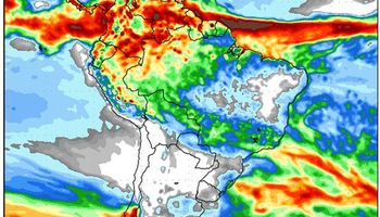 Las lluvias llegarían en una semana