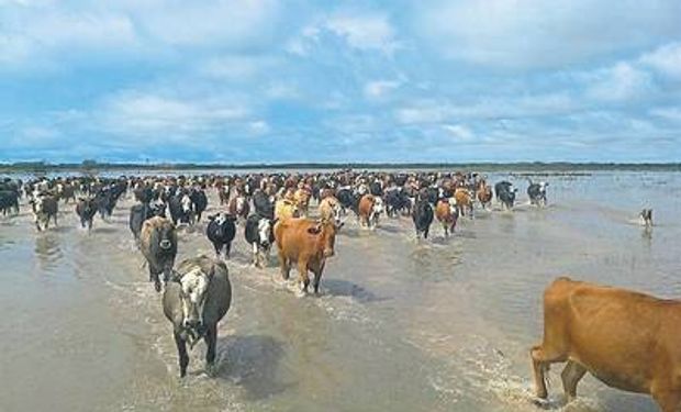 Se elevó la altura de la napa en la región pampeana.