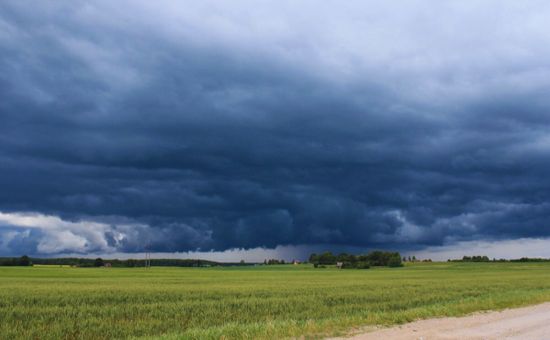 Las zonas anegadas del sur de la cuenca del Salado continúan bajo fuerte riesgo y necesitan un período seco prolongado
