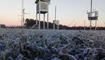 Qué dice el pronóstico del clima para los próximos días