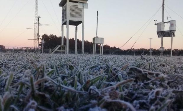 Qué dice el pronóstico del clima para los próximos días