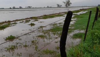 Lluvias: las zonas que recibieron hasta 100 mm y cómo sigue el tiempo ahora