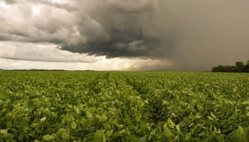 Seguro rural cobre só 14% das lavouras no Brasil, mesmo com alta nos riscos climáticos